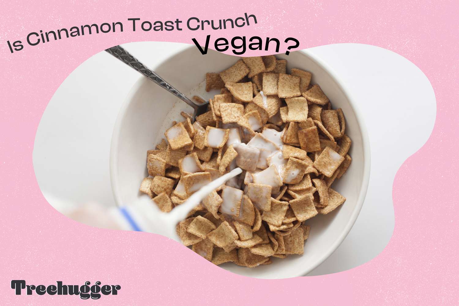 Is Cinnamon Toast Crunch Vegan?