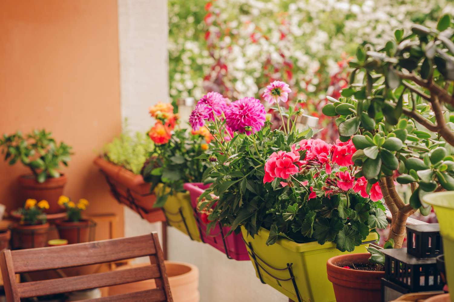 15 Greatest Balcony Vegetation