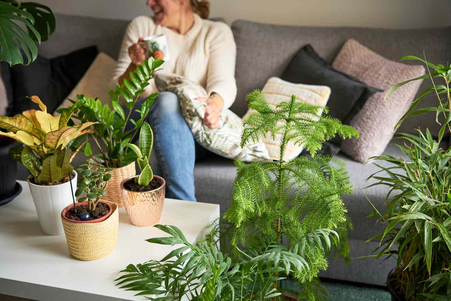 12 Giant Indoor Vegetation to Make a Inexperienced Assertion