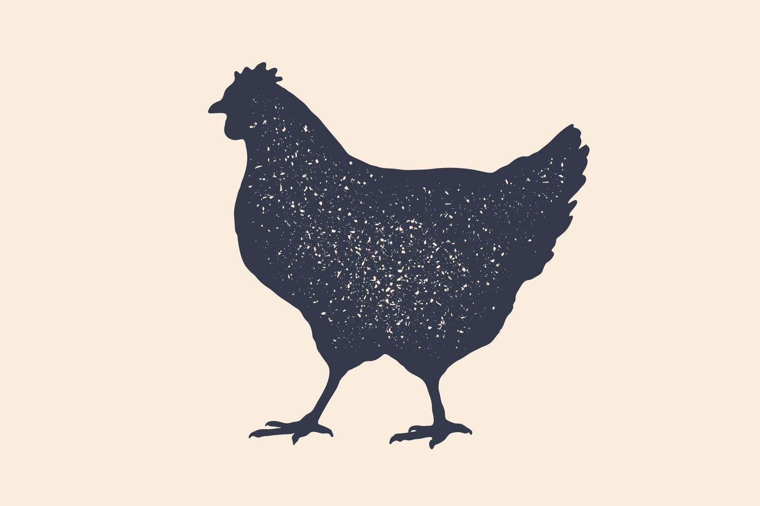 How Lengthy Do Chickens Dwell?