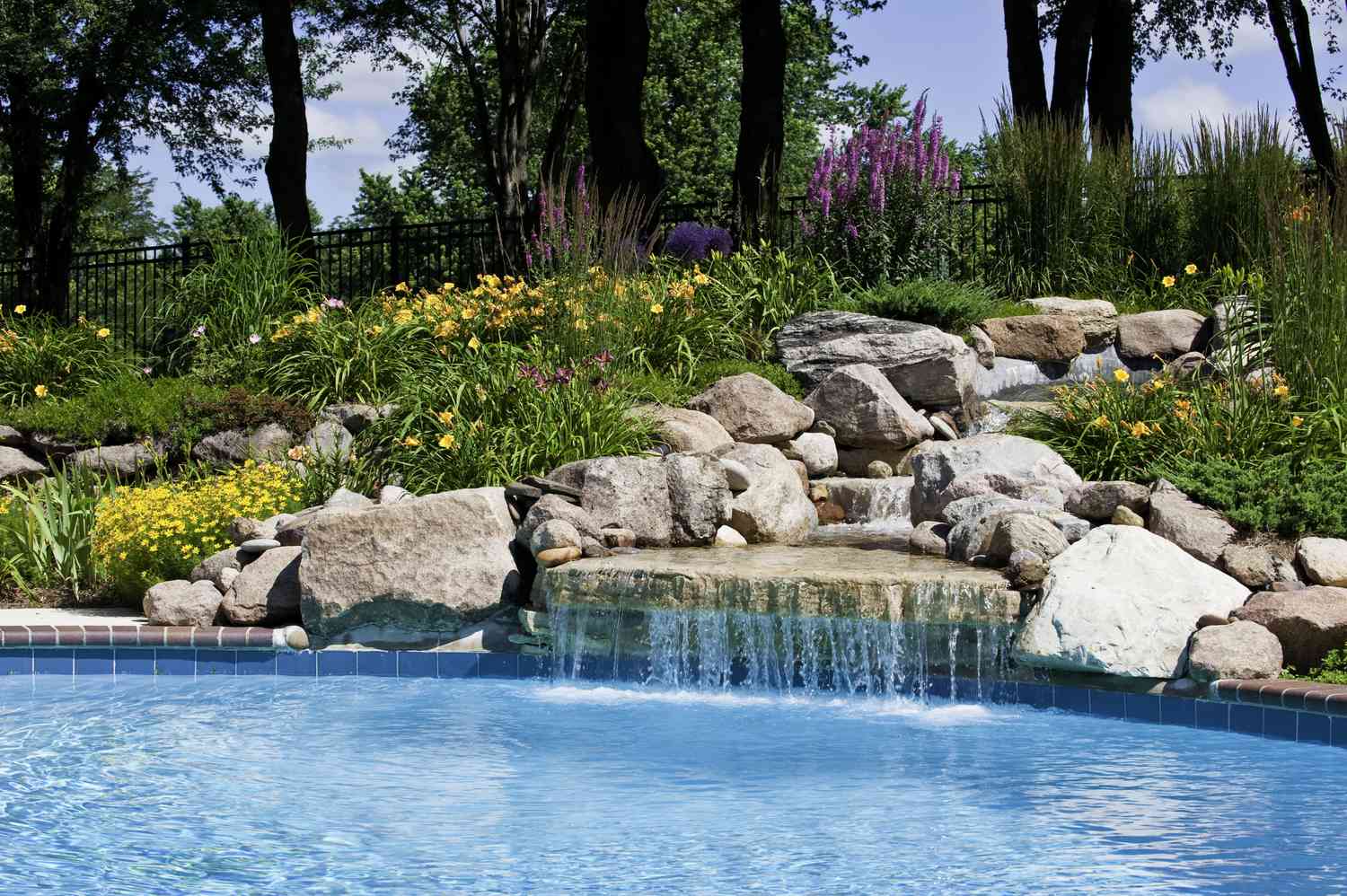 17 Vegetation That Work Completely Across the Pool